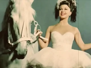 vintage erotic animation
